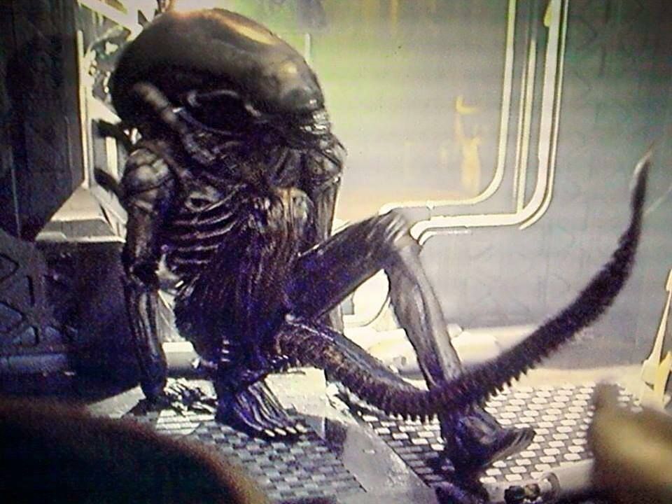 alien 1979